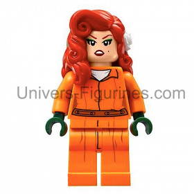 Poison Ivy Prison – Figurine en briques DC Comics